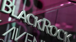 Hubungan Misterius BlackRock, Satoshi Nakamoto dan WallStreetBets - credit for: webitcoin - pibitek.biz - Teknologi
