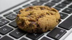 Matikan Cookie di Google Chrome - credit for: mashable - pibitek.biz - Data