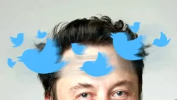 Perubahan Besar Proses Verifikasi Twitter X - image from: adsoxford - pibitek.biz - Elon Musk