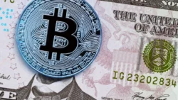 Bitcoin Capai 1,8 Miliar Setelah Pemotongan Imbalan April - image source: newsbtc - pibitek.biz - Video